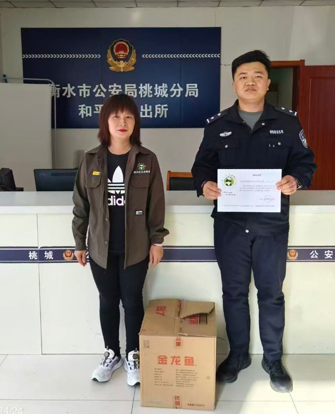 桃城公安:警民联手救助 “三有” 保护动物雉鸡 桃城公安:警民联手救助 “三有” 保护动物雉鸡