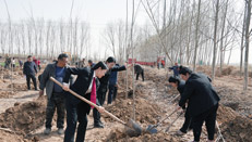 �Է���֮�� ����̬֮��